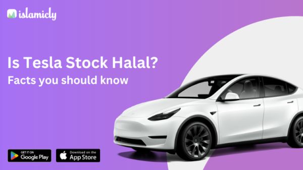 Is Tesla Stock Halal to invest in? Facts you should know :: 20th ...